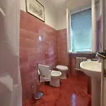 Sauro 43 * Pisa