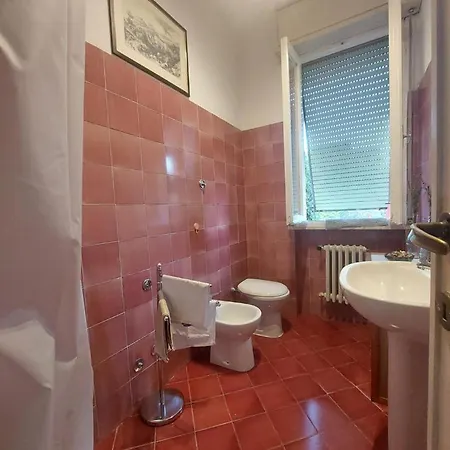 Sauro 43 * Pisa