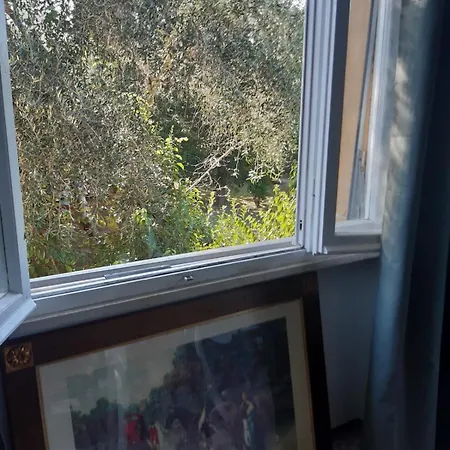 Sauro 43 Апартаменты Пиза